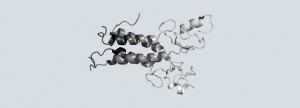 Image of BRCA 1