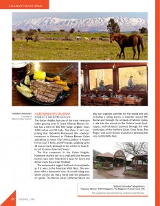 A Culinary Tour of Israel pg. 16