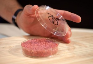 Petri Dish of Hamburger Meat