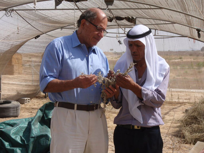 Michael Ben-Eli and Ali Alhawashla examining medicinal plants