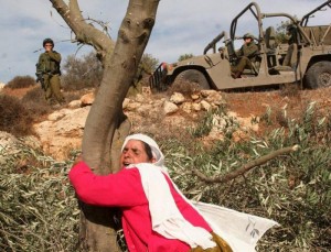 Palestinian woman hugging tree