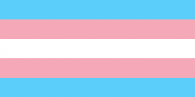 trans and gay flag