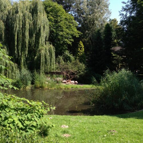 A scene from the bucolic zoo, which harks back to another era.