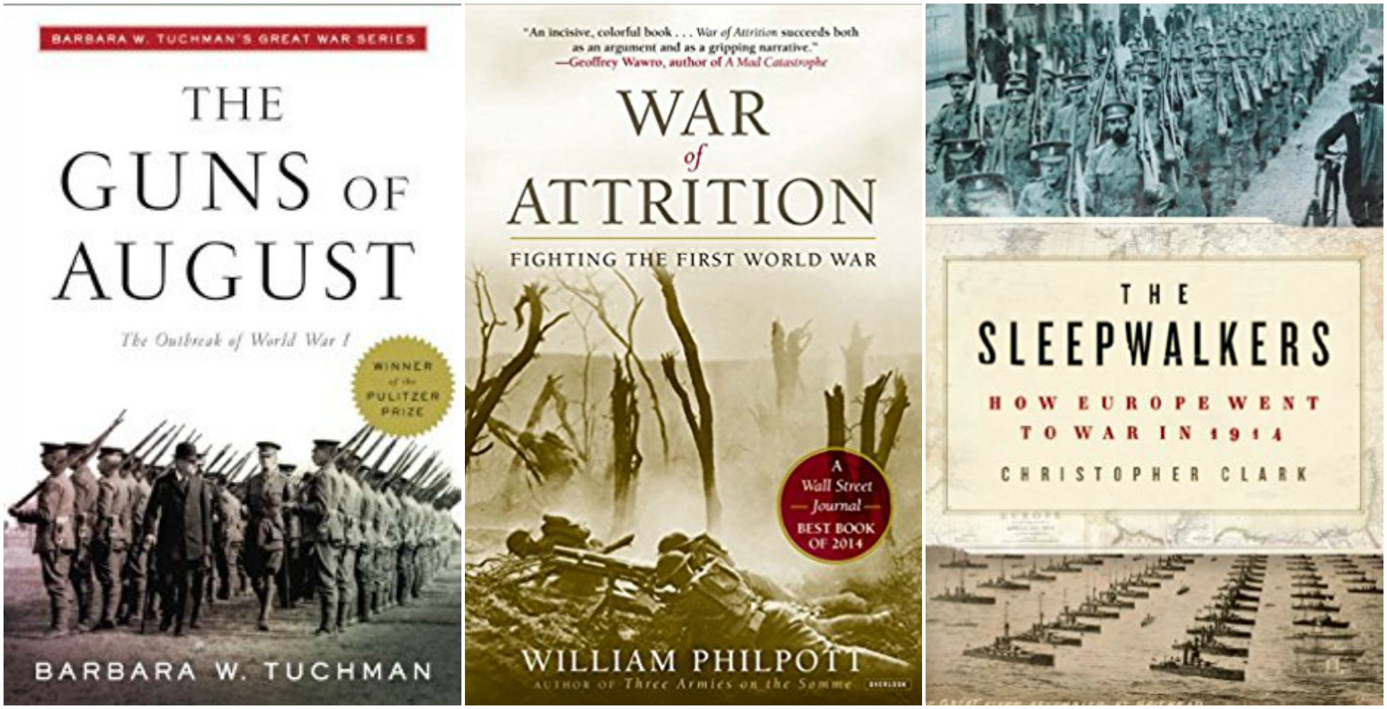 The Sleepwalkers: How Europe Went to War in 1914: Christopher