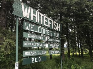 Whitefish