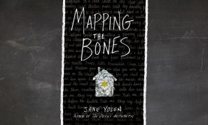 mapping the bones