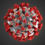 Will Coronavirus Bring Politics to a Standstill?
