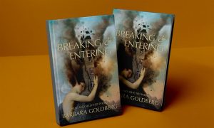 Copies of "Breaking and Entering" by Barbara Goldberg