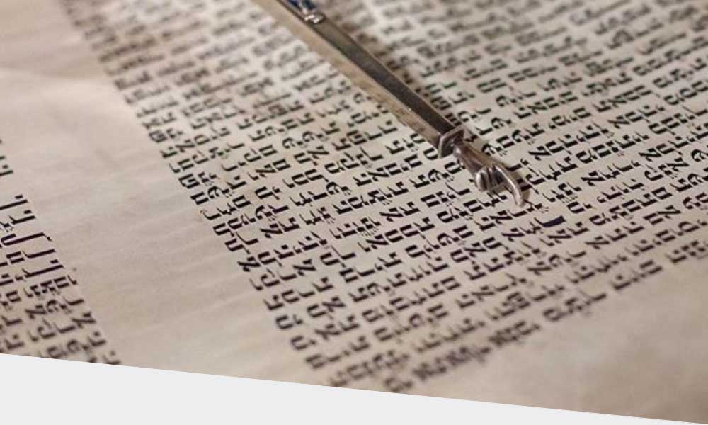 Ask the Rabbis