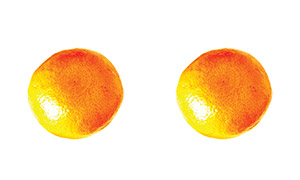 two oranges placed on a white background