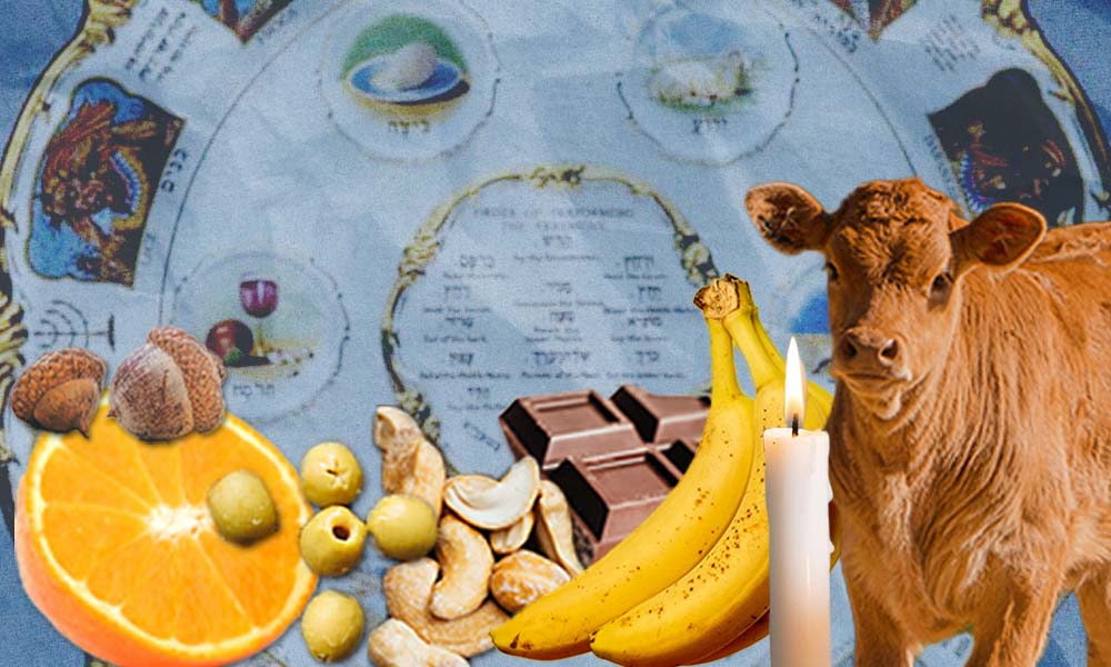 Modern items to put on the seder plate