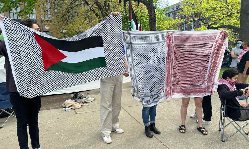 Pro-Palestine protesters hold up keffiyehs and a Palestinian flag.