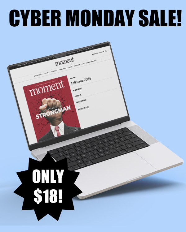 cycbermonday-product (3) Cyber Monday Sale! - Image 1