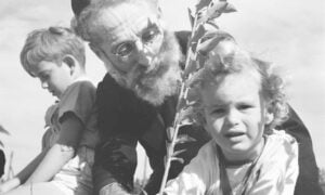 Tu B'Shevat origin