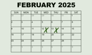 when is Tu B'Shevat