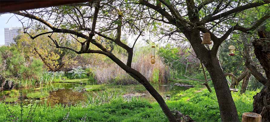 Jerusalem Bird Observatory