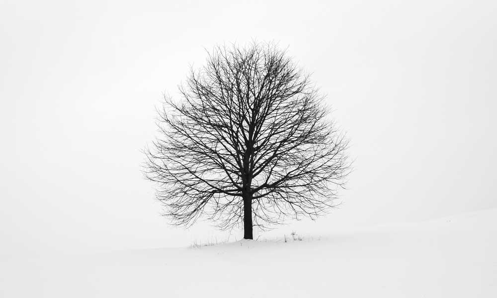 Poem | Ghosts of April