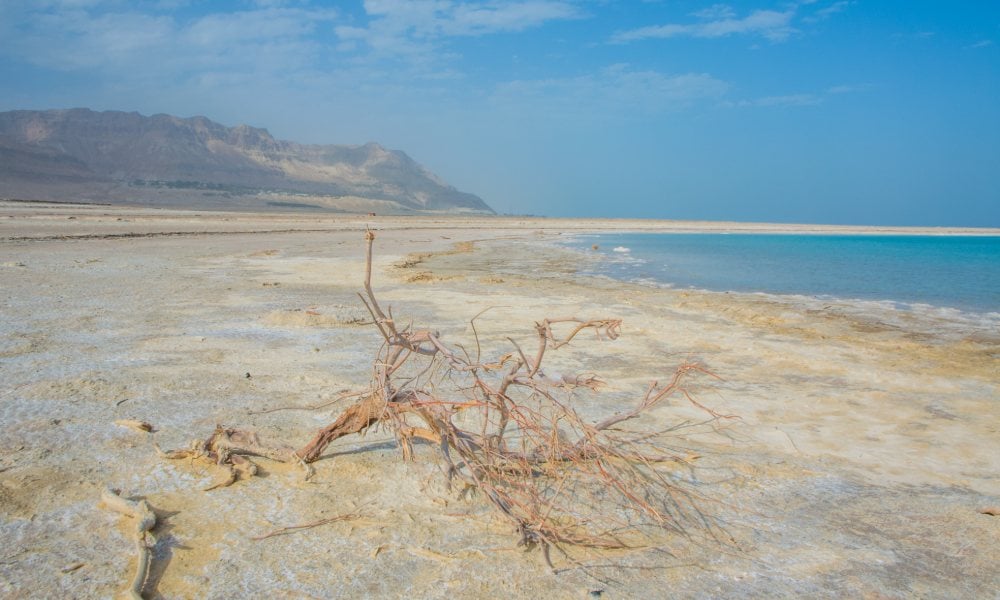 Dead Sea Environmentalists Promote Rehabilitation through Peace Dead Sea Environmentalists Promote Rehabilitation through Peace